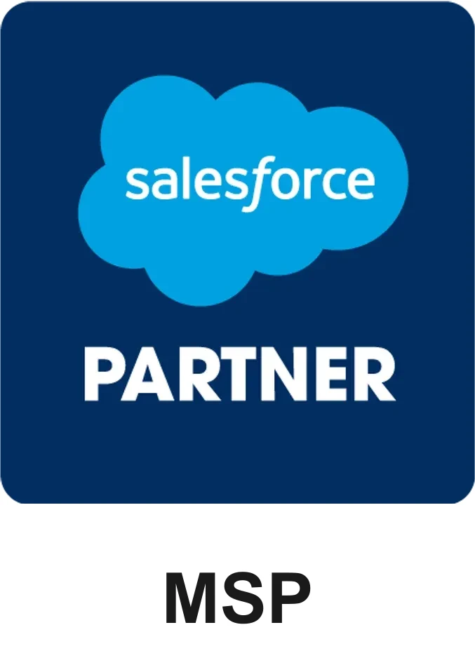 Salesforce MSP